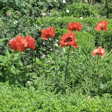 Lägenhet Martina's Place *