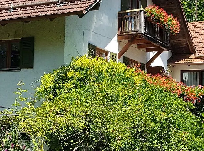 Martina's Place