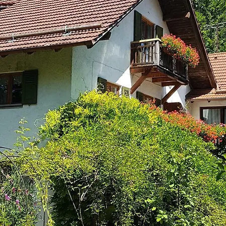 Martina's Place